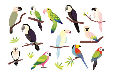 Obraz premium Vibrant Aviary: A collection of colorful parrots perched elegantly on branches, their striking feathers a testament to nature's artistry.
