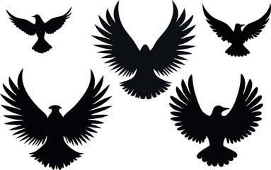 Obraz premium black bird silhouettes for design projects