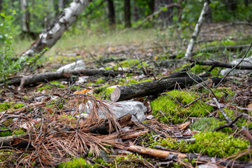 Plastic bottles in the forest. Environmental pollution. Nature protection