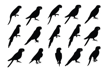 Parrot Silhouette Pattern: A captivating arrangement of parrot silhouettes, elegantly positioned against an opaque backdrop, ideal for conveying themes of design, freedom and nature's artistic form.