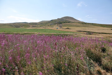 Fototapeta premium Landschaft am Col de la Croix Morand