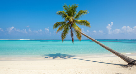 Obraz premium A palm tree stretches out over a white sand beach with turquoise water and a clear blue sky above it all