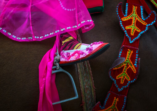 Child during a novitiation parade, Bagan,  Myanmar