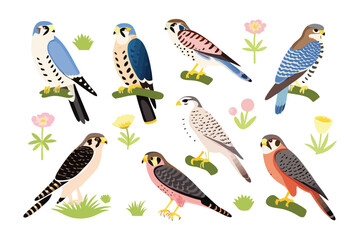 Obraz premium Colorful Birds of a Feather: A vibrant collection of avian illustrations, each capturing the unique charm and elegance of various bird species, perfect for nature enthusiasts and design projects.