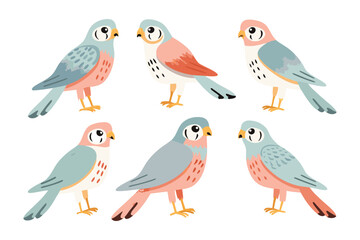 Fototapeta premium Birds Pattern Collection: A charming illustration features a collection of birds, showcasing their distinct feather patterns and endearing poses. Perfect for adding a touch of whimsy to any project.
