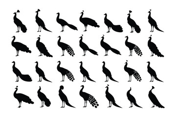 Peacocks Silhouette: A striking collection of peacock silhouettes gracefully arranged, perfect for graphic resources, illustrating the beauty of these elegant birds.