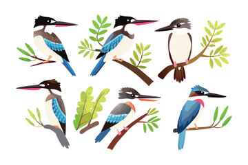 Illustrative Kingfishers Collection: A colorful illustration showcases a diverse collection of kingfishers, each perched gracefully on branches, exuding a sense of avian beauty.
