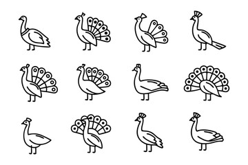 Peacock Icons: A collection of minimalist peacock icons, showcasing a variety of poses and tail displays, perfect for design elements and branding.