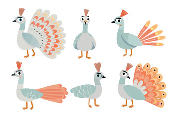 Peacock Avian Delights: A set of six vibrant peacock illustrations, showcasing the elegant bird in various poses and forms. A versatile and charming graphic that's ideal for many creative endeavors.