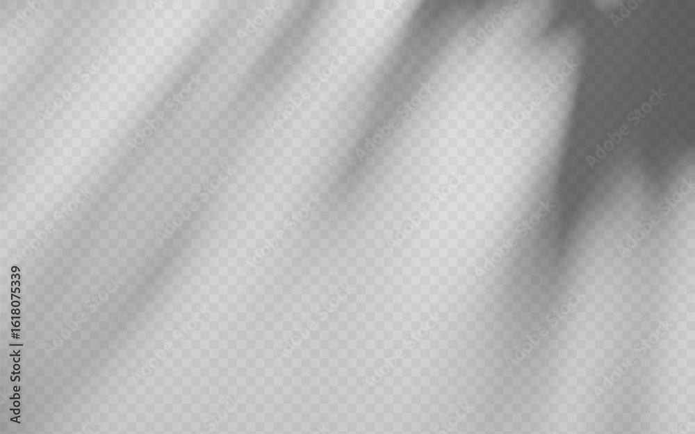 Wall mural abstract shadow overlay from foliage tree branch on a transparent background.