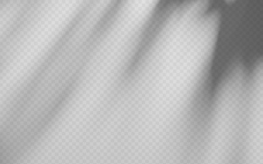 Abstract shadow overlay from foliage tree branch on a transparent background.