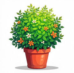 A round shrub with orange flowers growing in a pot