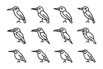 Bird Illustrations: a collection of simple, elegant line drawings of birds. A perfect visual resource for educational materials, design projects and more. 
