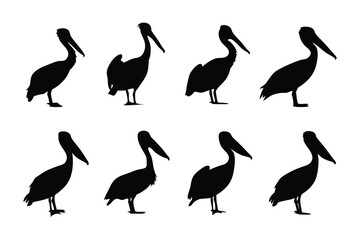 Obraz premium Pelican Silhouettes: Eight elegant silhouettes of a pelican, the sleek forms showcasing the grace of these aquatic birds in various poses, offering a graphic display of their unique shape.