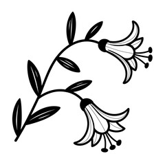 Obraz premium Elegant Floral Vector Illustration with Blooming Lily Flowers and Leaves in Black and White Design element for backgrounds and patterns