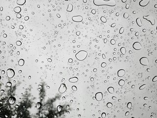 Raindrops on Window Glass with Blurred Trees in Background