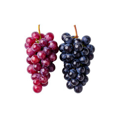 Fototapeta premium Two bunches of fresh grapes, red and blue, on transparent background