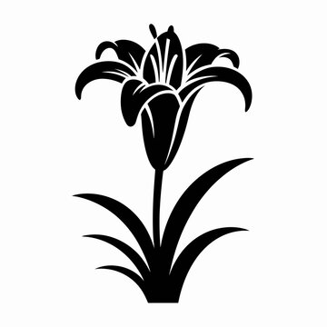 Black Silhouette of a Lily Flower Design