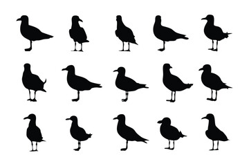 Seagull Silhouette Collection: This image showcases a collection of seagull silhouettes, perfect for projects emphasizing coastal themes and design elements.