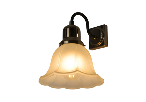 A wall-mounted light fixture with a frosted glass shade.