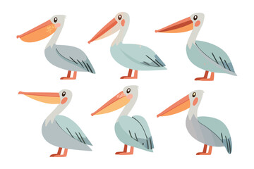 Graceful Pelicans: A charming collection of illustrations of elegant pelicans, showcasing their distinctive features and gentle presence.
