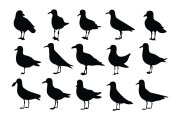 Seagulls in Silhouette: A series of stylized silhouettes showcase the elegant forms of seagulls, each captured in unique poses and angles, offering a compelling visual study of these iconic seabirds.