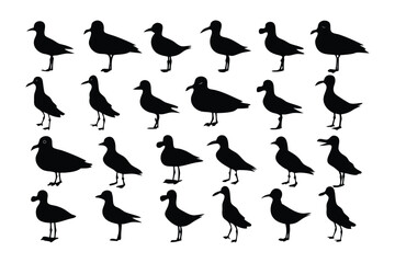 Seagulls Silhouettes on White: A collection of elegantly rendered silhouettes of seagulls, captured in various poses and angles, showcasing their distinctive form.