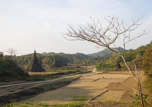 Buddhist temple, Mrauk u, Myanmar