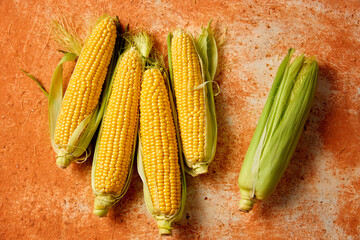 Fresh corn on the cob with husks on a rustic surface