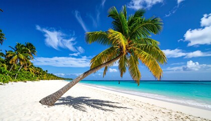 Obraz premium Tropical beach scene with palm tree (1)