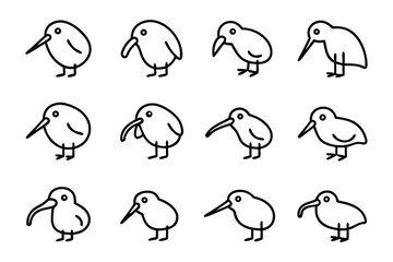 Kiwi Bird Outlines: A collection of minimalistic outline illustrations showcases the unique shape and silhouette of a kiwi bird in various stances and angles.