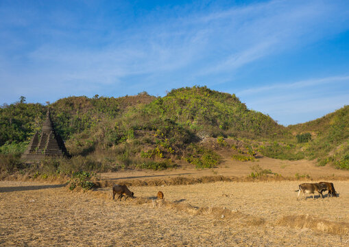 Buddhist stupa, Mrauk u, Myanmar