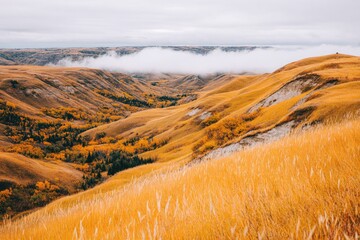 Autumnal valley vista, golden hills, hazy sky