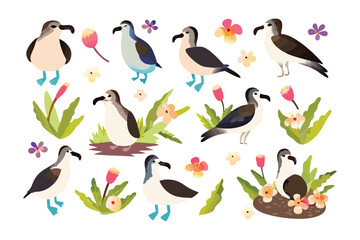 Seabirds and Flowers: A delightful illustration featuring an array of seabirds amidst a whimsical garden of vibrant flowers and lush greenery.