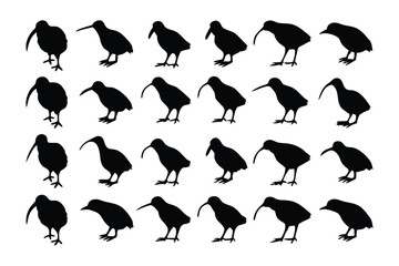 Kiwi Silhouette: Artistic portrayal of a kiwi bird silhouette presented in a repeating pattern. Perfect for projects needing a touch of nature. 