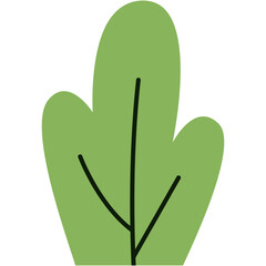 Tropical Leaves Illustration