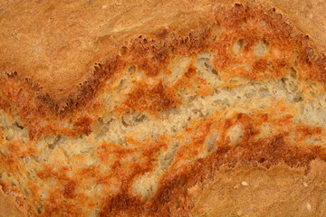 A close-up shot of a freshly baked loaf of bread reveals a deep golden-brown crust with a distinct crack, showcasing its rustic texture