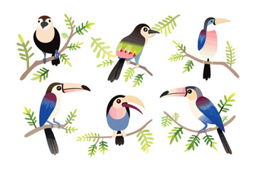 Exotic Bird Collection: A collection of vibrant, diverse birds perching gracefully on branches amidst lush green foliage, presenting a spectrum of colors and patterns.