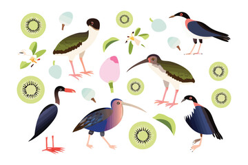 Bird Diversity: A vibrant artistic illustration showcases an assortment of bird species in harmonious composition alongside playful kiwi elements. 