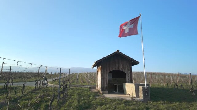 Vineyard fields in Switzerland during winter in a sunny and windy day
