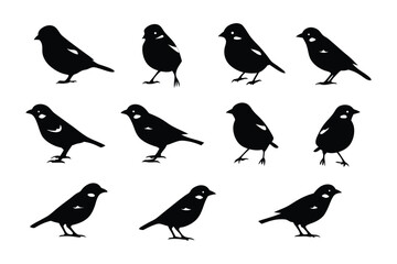 Bird Silhouette: A collection of bird silhouettes showcases the elegant simplicity of avian forms, perfect for design projects that seek a touch of nature's charm. 
