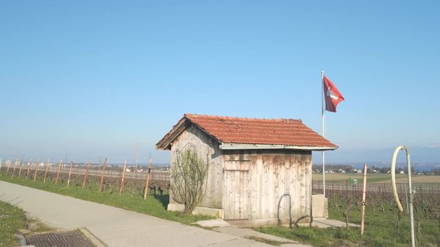 Vineyards in the Swiss countryside during the winter season