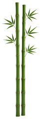 Green Bamboo Stalks with Leaves, 3D Realism Illustration on Transparent Background