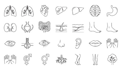 Human Anatomy Icons Collection with Organs, Senses, and Body Parts