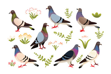 Colorful Pigeons and Natural Accents: An illustrative and visually appealing set of pigeons, adorned with colorful plumage, coexists harmoniously with botanical elements like flowers and leaves.