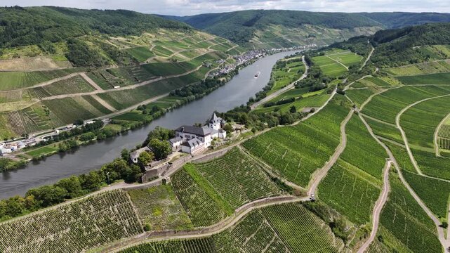 Marienburg Castle on the Petersberg near Zell, Germany, historic significance, vineyard surroundings, and Moselle River.