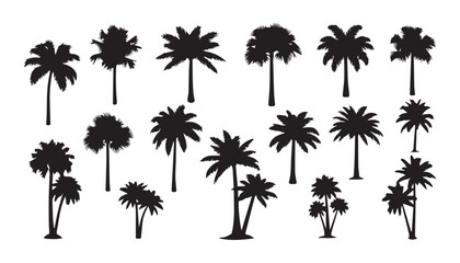 Palm Tree Silhouettes in Various Shapes and Sizes for Tropical Designs