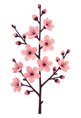 Pink Cherry Blossom Branch with Buds, Transparent Background, Digital Illustration for Web Design