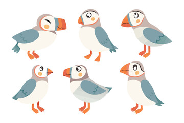 Adorable Puffin Collection: A charming illustration showcases a collection of endearing puffin birds in various poses, highlighting their colorful beaks and playful nature.