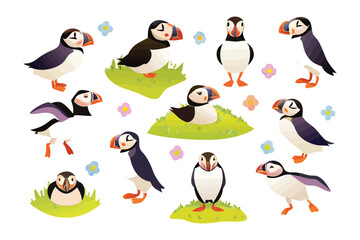 Puffin's Whimsical Dance: A charming assembly of cartoon puffins, each uniquely posed, with vibrant plumage and distinct orange beaks, scattered against a refreshing, bright background.